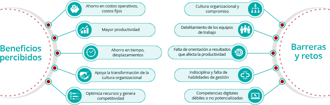 Teletrabajo para organizaciones