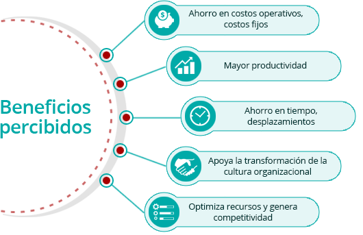 teletrabajo organizaciones